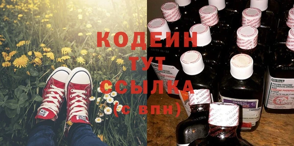 прущие крисы Абаза