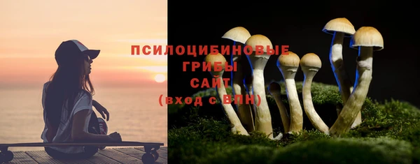 ГАЛЛЮЦИНОГЕННЫЕ ГРИБЫ Абинск