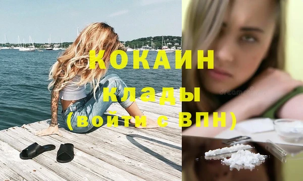 хмурый Михайловск