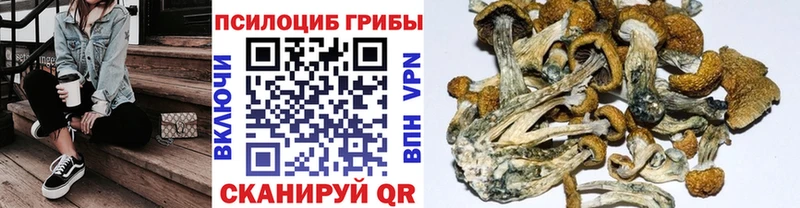 Псилоцибиновые грибы мицелий  Шиханы 